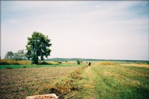 26 