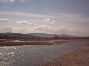 58 