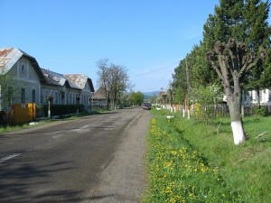 IMG_0025 
