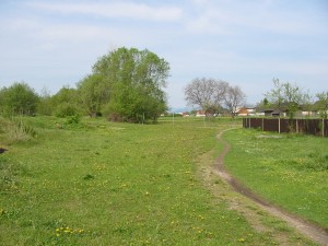 IMG_0041 