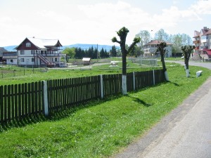 IMG_0065 