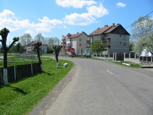 IMG_0067 