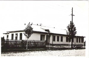 Bilca 6