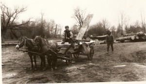scan0044