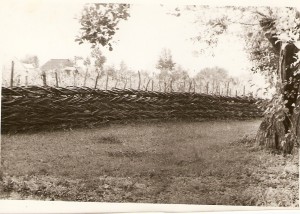 scan0049