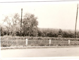 scan0050